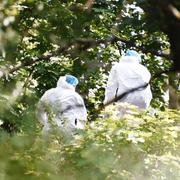 Polisens tekniker undersöker platsen i Tensta, där en död person påträffades under morgonen. Polisen kan ännu inte kommentera dödsorsaken.