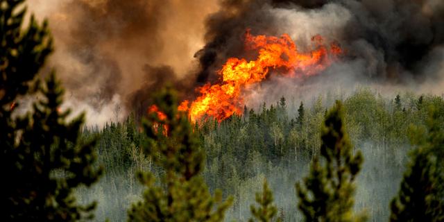 Brand i Donnie Cree, British Columbia den 2 juli 2023. Noah Berger / AP