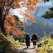 Arkivbild: Hamarikyu Gardens i Tokyo. 