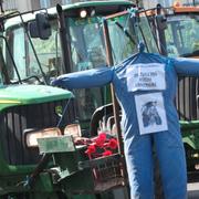 Demonstrationer