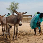 En kvinna som har flytt från Sudan till Tchad.