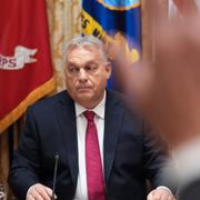 Orbán och Trump i Vita huset, 7 november. 