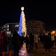 Julgran i centrala Kyiv. Vasilisa Stepanenko / AP