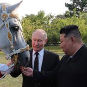 Bild på Putin, Kim Jong Un och en häst.