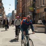 Stockholm och en blomsteräng. 