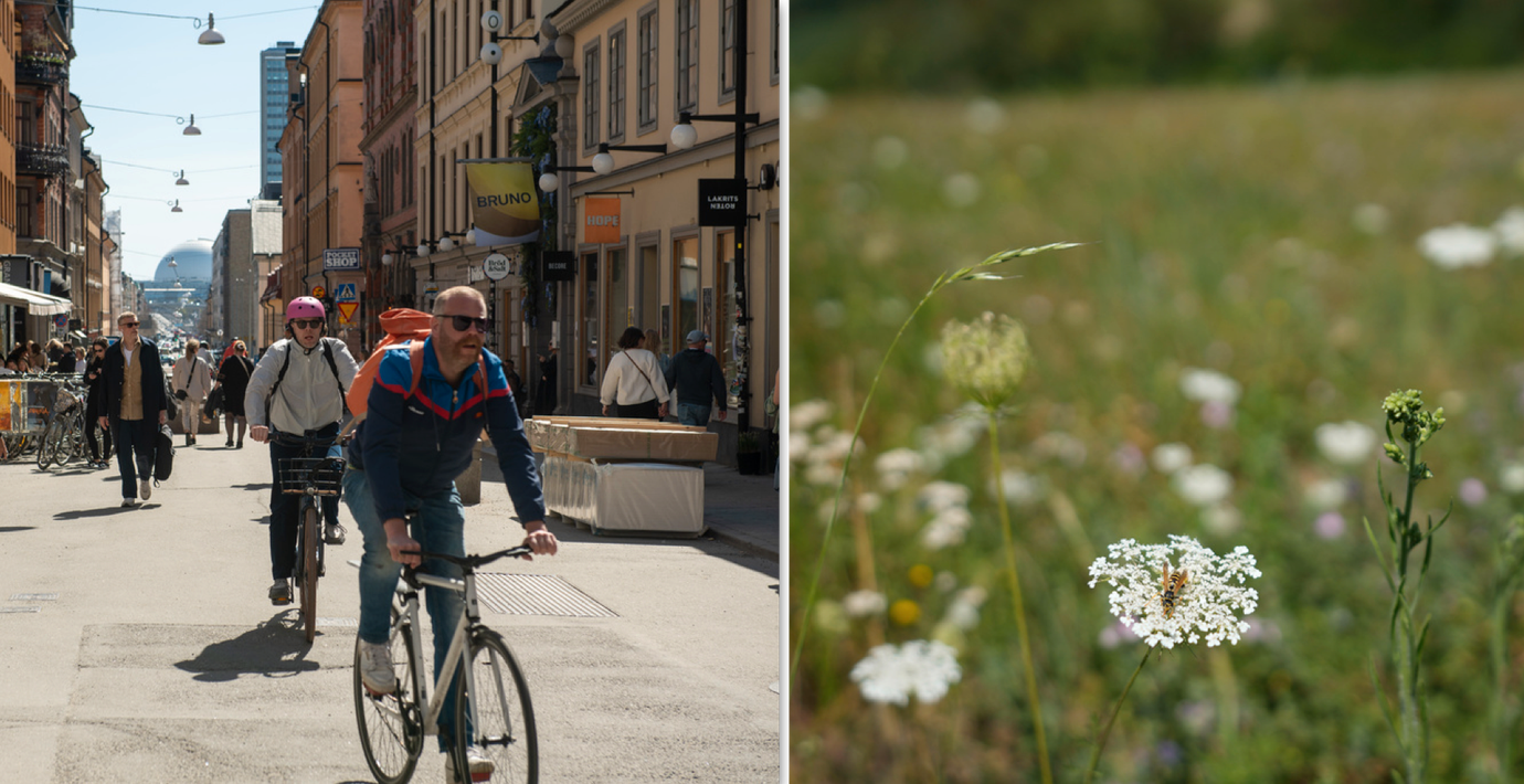 Stockholm och en blomsteräng. 