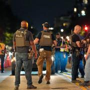 Agenter från Department of Homeland Security Investigations ansluter sig till poliser från Washington Metropolitan Police Department när de genomför trafikkontroller vid en kontrollpunkt längs 14th Street i nordvästra Washington.