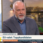 Jonas Sjöstedt (V) i TV4:s Nyhetsmorgon.