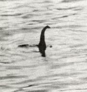 Den välkända bilden som publicerades i Daily Mail 21 april 1934 och sägs föreställa det så kallade Loch Ness-odjuret avslöjades som bluff årtionden senare. 
 Pressens Bild / TT NYHETSBYRÅN
