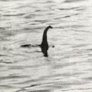 Den välkända bilden som publicerades i Daily Mail 21 april 1934 och sägs föreställa det så kallade Loch Ness-odjuret avslöjades som bluff årtionden senare. 
 Pressens Bild / TT NYHETSBYRÅN