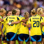 Från Sveriges match mot Tyskland.