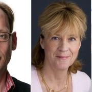 Oisín Cantwell, Marianne Lundius och Göran Lambertz.