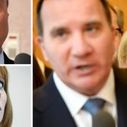 Jan Björklund, Annie Lööf, Stefan Löfven och Margot Wallström.