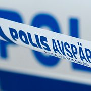 Polisen tror sig ha lyckats hitta såväl utförare som beställare.