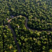 Bild över Amazonas i Brasilien.