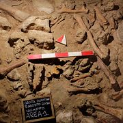 Bilder från grottan där fyndet gjordes. 