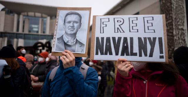 Demonstranter kräver att Navalnyj släpps fri. Markus Schreiber / TT NYHETSBYRÅN