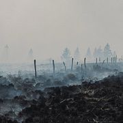 Rök stiger från ett brandskadat fält och skogsområde nära Waimes i Belgien på måndagen.