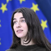 Illustrationsbild/Romina Pourmokhtari.