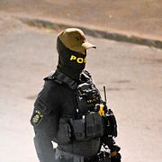 Arkivbild på polisens regionala insatsstyrka.