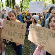 Demonstranter vill att klimatet prioriteras. Arkivbild.