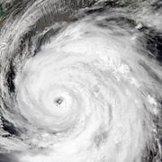 Neoguri