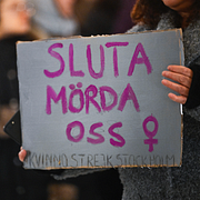 Adine Samadi/Arkivbild från demonstration i Stockholm, 2 januari 2026.
