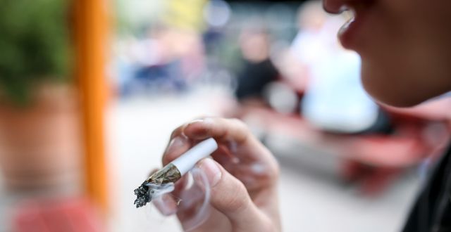 En ung person röker cannabis i stadsdelen Christiania i Köpenhamn. Helena Landstedt/TT / TT NYHETSBYRÅN