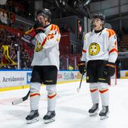 Brynäs spelare deppar. Arkivbild. 