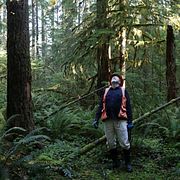 Arkivbild: Willamette National Forest, Oregon  2023.