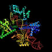 Ett datorvisualierat protein.