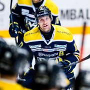 HV71:s Martin Thörnberg jublar efter 3-0 under ishockeymatchen i SHL mellan HV71 och Djurgården den 27 februari 2020 i Jönköping