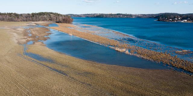 ”Katastrof” För Lantbruket När Mälaren Rinner över