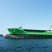 Misje Verde.
