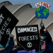 Demonstrationer vid FN:s klimattoppmöte i Glasgow. 