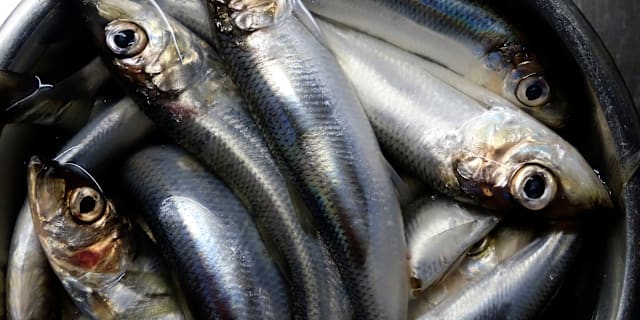 Illustrationsbild. Hasse Holmberg/TT