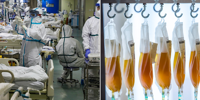 En kinesisk intensivvårdsavdelning i början av februari och blodplasma.  TT