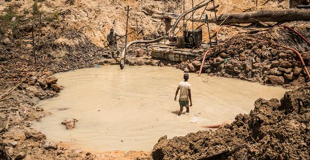 En man vid en guldgruva i Guyana. Flera kvinnor tvingades sälja sex i området. Nicola Vigilanti / TT NYHETSBYRÅN