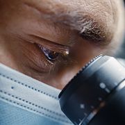 Aktien är ner 86 procent på ett år. 