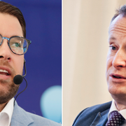 SD-ledaren Jimmie Åkesson och energi- och digitaliseringsminister Anders Ygeman (S). 