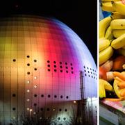 Globen upplyst i Belgiens färger efter terrordådet. Mat på ett bord till ankommande flyktingar i Malmö i höstas.