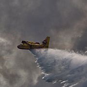 Ett brandflyg vattenbombar skogen Fontainebleau utanför paris.