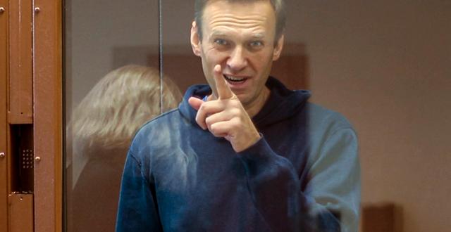 Aleksej Navalnyj. TT NYHETSBYRÅN