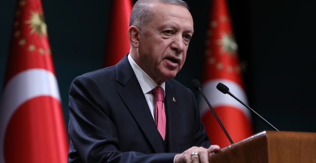 President Erdogan. Burhan Ozbilici / AP
