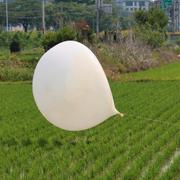 Ballong från Nordkorea på ett vält i Incheon, Sydkorea, 10 juni.