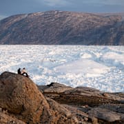 En glaciär på Grönland.