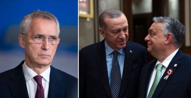 Stoltenberg/Erdogan och Orbán. AP