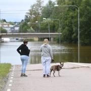 En översvämad cykelviadukt vid trafikleden Österbågen i Gävle.