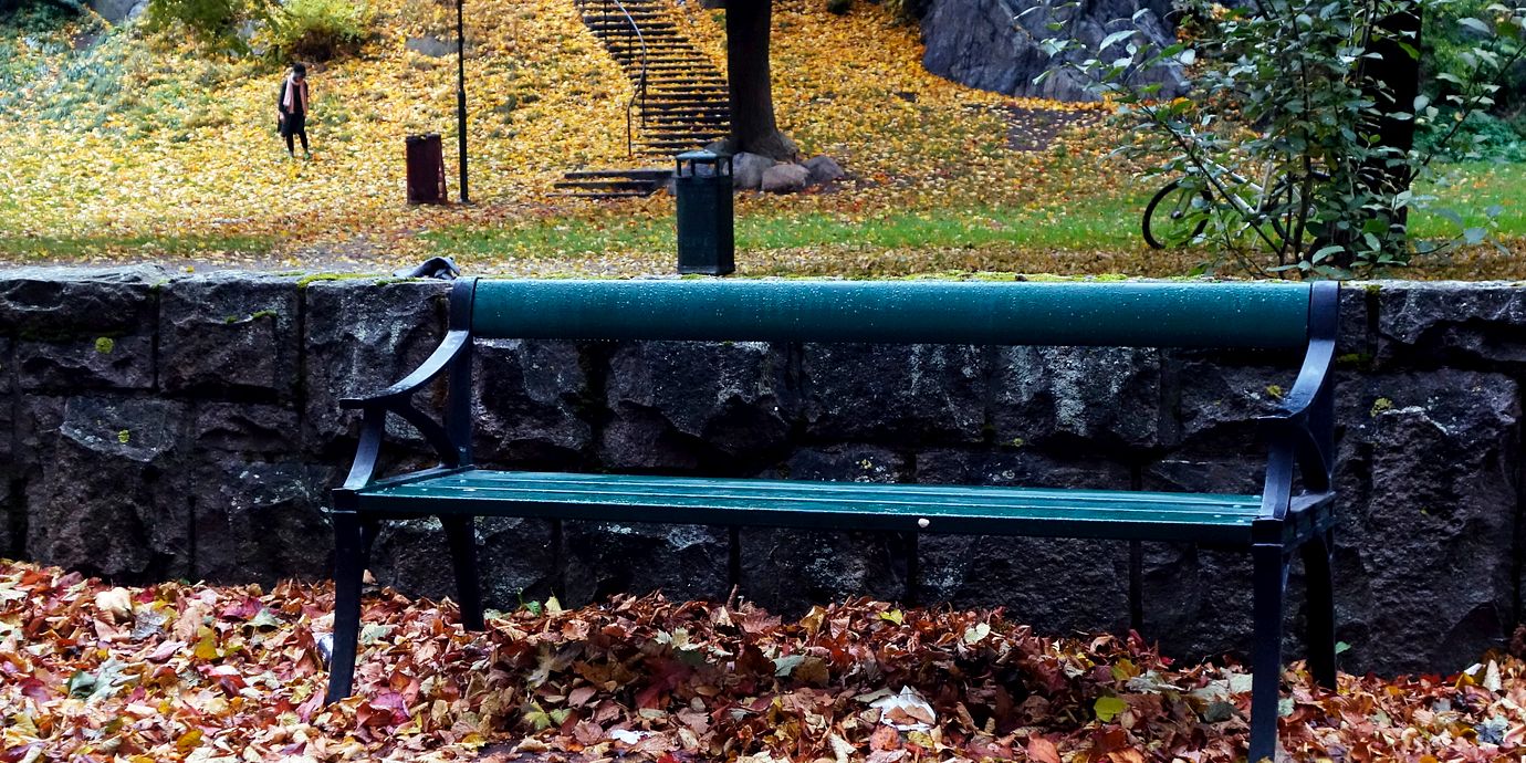 Parkbänk av den aktuella modellen i höstskrud i Stigbergsparken på Södermalm. Bilden är en arkivbild.