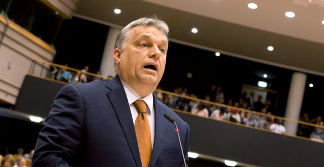 Viktor Orbán. Virginia Mayo / AP